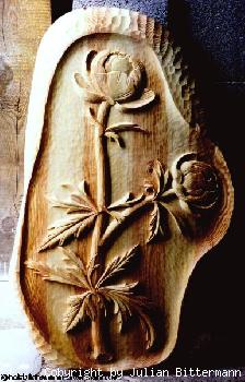 medium freiarbeiten7.jpg